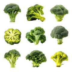 Collection of fresh green broccoli florets and stalks isolated on transparent background