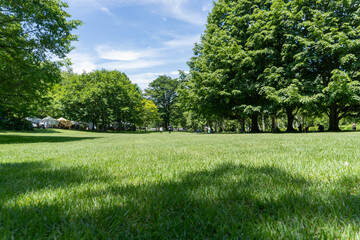八ヶ岳 公園  Yatsugatake
