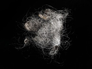 Hair loss, black and white hair falling out isolated on black background. Hair loss problem and dry hair falling out falling to the floor.