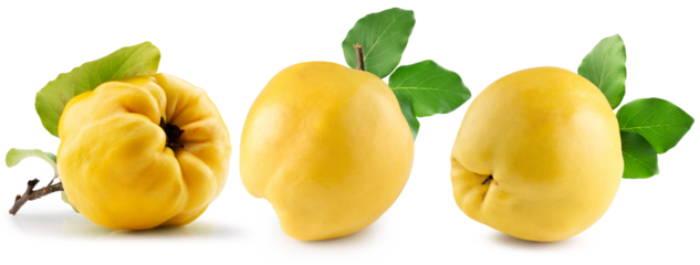 collection of quinces isolated on white background