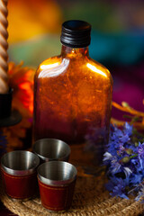 Celebration of the Day of the Dead in Mexico