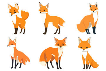 Set of Cute Cartoon Fox Vector Illustrations Adorable Wild Forest Animal Collection in Various Poses and Expressions