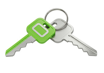 Isolated Pair of Keys: One Green, One Silver