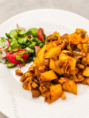 Delicious vegetarian meal with fresh salad and potatoes