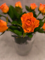 Vibrant orange roses in elegant vase display