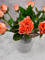 Vibrant orange roses in a decorative vase