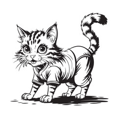 black cat vector illustration art