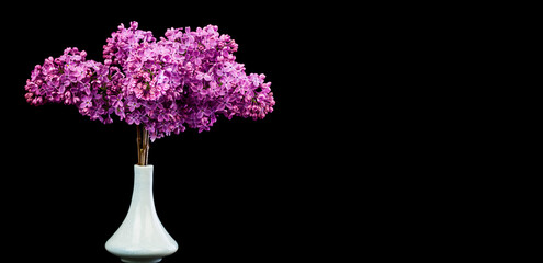 Lilac flowers in a vase isolated on black background.