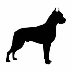 Dog silhouette vector illustration of a standing boxer dog breed pet animal canine mammal domestic doggy friend