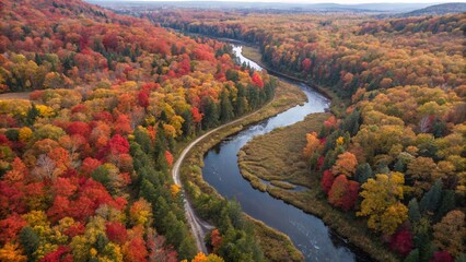 Fototapeta premium Colorful Fall Foliage Surrounding a Meandering River from Above