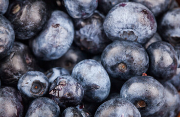 Blueberries as a background.