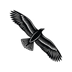 Obraz premium Black silhouette of a bird soaring flight wings