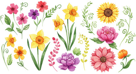 Watercolor Floral Collection: Diverse Hand-Painted Flowers and Foliage Illustration
