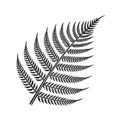 Delicate black fern frond detailed illustration leaf