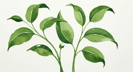 Fototapeta premium Elegant Watercolor Greenery Illustration with Fresh Foliage and Gentle Textures