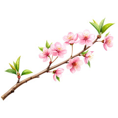 Watercolor Pink Flower Branch in Japanese Ink Style, isolated on transparent background