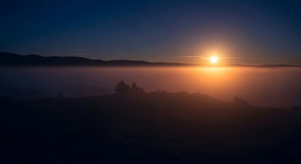 Fototapeta premium Misty sunrise over a tranquil landscape, silhouetted trees and a vibrant, low sun.