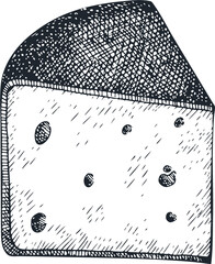 Hand drawn dairy illustration. Engraved style emmental head. Vintage food illustration...
