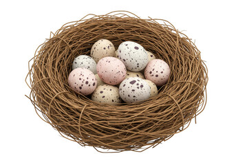 Obraz premium A bird nest filled with speckled eggs isolated on transparent background