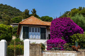 Small house with vibrant Bougainvillea and terracotta roof in Corsican countryside, France, Corsica, Ajaccio, 13 June 2025