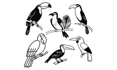 Line art birds collection