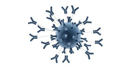 Antibody Neutralization of Virus - Microscopic view of Y-shaped antibodies binding to a virus, immune response, viral infection, health, science