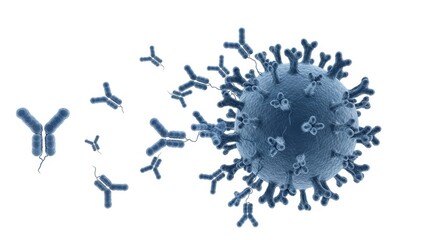 Antibody Neutralization of Virus - A microscopic view of Y-shaped antibodies binding to and neutralizing a virus, symbolizing immunity, protection, science, medicine, and health