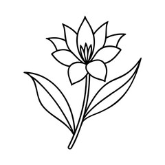 Outline flower with petals leaves stem on leaf