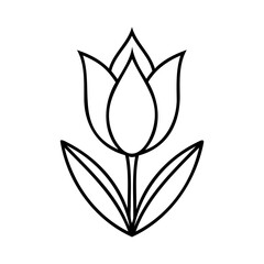 Outline a tulip flower with leaves stem on a floral plant