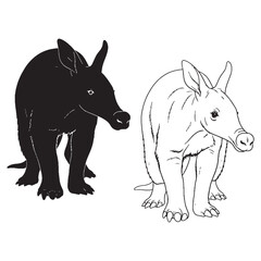 Precisely Rendered Aardvark Outline Set - Silhouette and Detailed Lineart - Aardvark silhouette - Aardvark lineart - Aardvark vector - vector set of Aardvark

