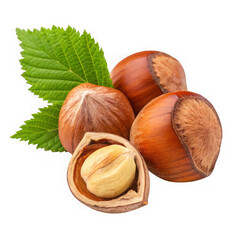 A cluster of fresh hazelnuts with green leaves isolated on transparent background