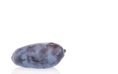 Sweet honeysuckle berries isolated on white background, top view.