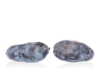 Obraz premium Sweet honeysuckle berries isolated on white background, top view.