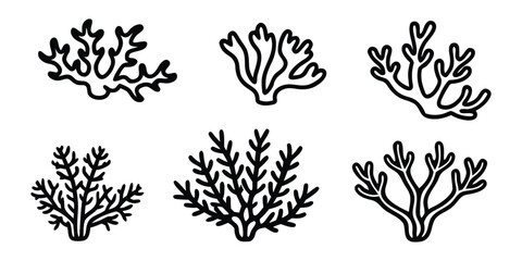 Fototapeta premium Vector Sea Coral Collection Hand Drawn Doodle Ocean Illustration design