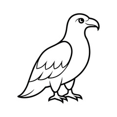 Fototapeta premium dove isolated on white