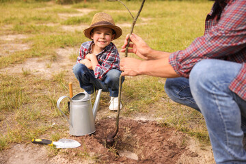 Father and his son planting tree into soil outdoors, closeup