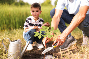 Father and his son planting tree into soil outdoors, closeup
