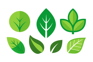 Naklejka premium Collection of stylized green leaf icons with different shapes and vein patterns