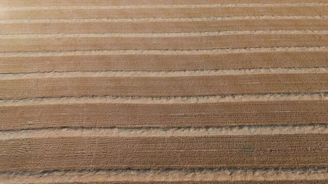 Aerial view of a freshly harvested field reveals a textured pattern of light and dark, parallel lines across the landscape, Sa'ar, North District, Israel.