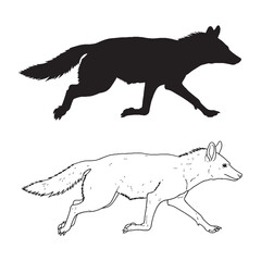 Iconic Aardwolf Vector Elements - Versatile Silhouette and Crisp Lineart - Aardwolf silhouette - Aardwolf lineart - Aardwolf vector - silhouette & lineart of Aardwolf

