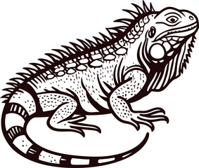 Detailed vintage engraving of iguana reptile in black and white hand drawn exotic lizard side view illustration