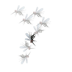 Illustration of Aedes Aegypti Mosquitoes Carrying Dengue Virus
