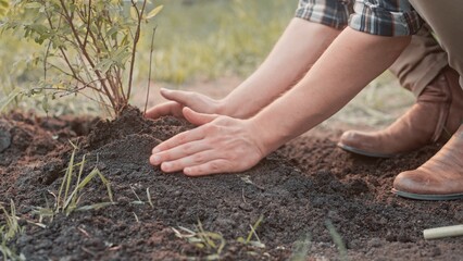 Hardworking gardener planting tree in farmland. Busy worker raking up ground with his hands while...