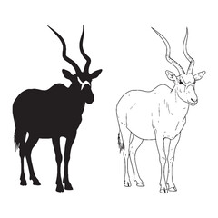 Naklejka premium Depicting Broad Hooves for Sand - Addax Horns Render - Bold Silhouette and Intricate Lineart Set - Addax silhouette - Addax lineart - Addax vector - vector set of Addax