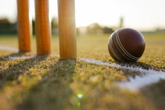 Cricket ball and stumps resting on white crease line on cricket pitch under golden sunset light