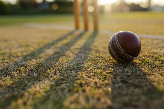 Leather cricket ball resting on worn grass pitch, wooden stumps casting shadows under golden light