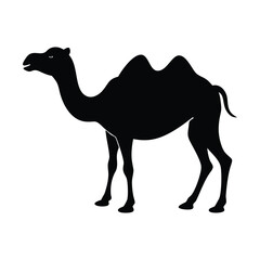 Simple silhouette shows a two humped bactrian camel on a transparent background