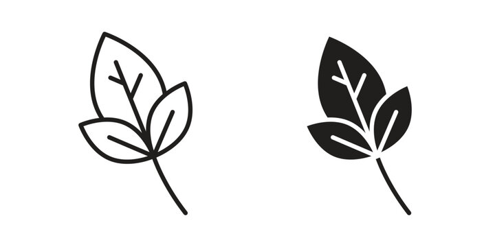 Basil icon, outline vector sign, linear and solid style pictogram isolated on white.