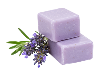 Isolated Lavender Soap Bars and Fresh Lavender Sprig