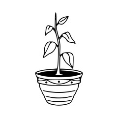 growing plant with leaves clipart
